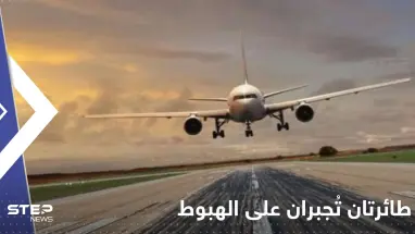 طائرتان تُجبران على الهبوط اضطرارياً بسبب الطيور ونوع من الفاكهة