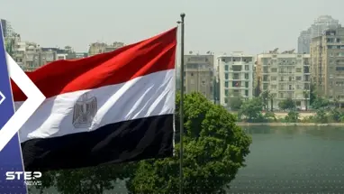 نائب مصري يحذّر من ارتفاع "جنوني" لأسعار مادتين.. ومدبولي يصدم المصريين بأرقام جديدة