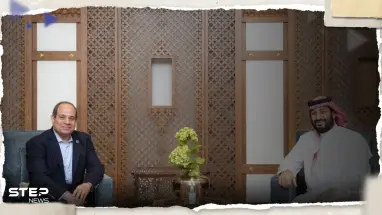صحيفة أمريكية تكشف سر زيارة السيسي الأخيرة للرياض: لم تحقق أي تقدم يذكر
