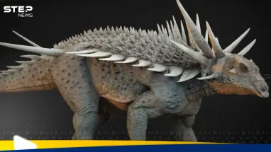 دراسة تكشف عن "أغرب" ديناصور مغطى بدرع مسنن: أحدث الأخبار