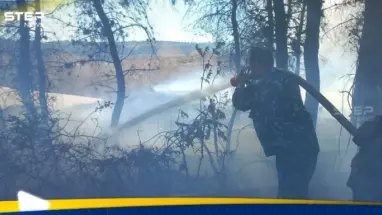 بالفيديو|| حريق كبير قرب القصر الرئاسي بدمشق والدفاع المدني يحذر من تطور بشأن حرائق اللاذقية: أحدث الأخبار