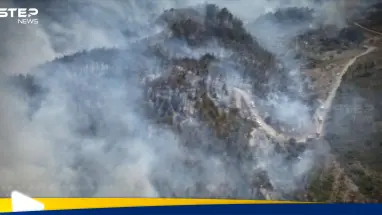 حرائق اللاذقية تتوسّع وتصل إلى غابات الفرنلق وسط تحرك أممي: أحدث الأخبار