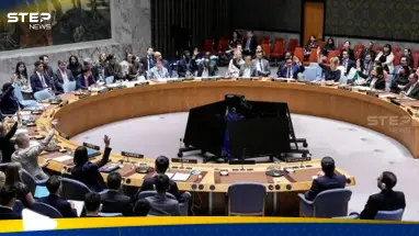 "البوليساريو" تصدر بياناً عقب قرار مجلس الأمن حول الصحراء