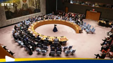 دولتان عربيتان تدعوان مجلس الأمن الدولي لجلسة طارئة بشأن سوريا: أحدث الأخبار