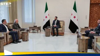 الشرع يستقبل جنبلاط.. ومصدر يكشف ماذا طلب الأخير: أحدث الأخبار