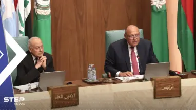 أبو الغيط: ليس هناك خارطة للتعامل مع الملف السوري