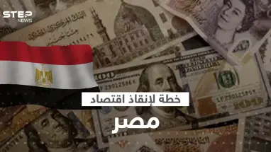 خطة صندوق النقد الدولي لإنقاذ اقتصاد مصر ترتبط بالجيش.. وهبوط تاريخي للجنيه مقابل الدولار
