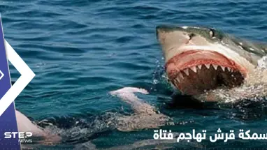 بالفيديو|| "صدمة" الناس على شاطئ استرالي بعد مهاجمة سمكة قرش لفتاة نزلت للبحر