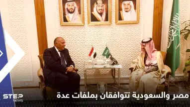 بيان مشترك.. مصر والسعودية ترفضان أي تهديدات لسوريا وتتوافقان على ملفات بالمنطقة