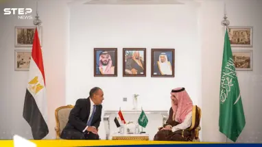 بيان سعودي مصري مشترك.. ماذا تضمن عن سوريا: أحدث الأخبار