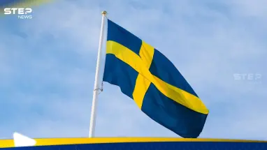 السويد تطور نظاماً مضاداً للطائرات المسيّرة لمواجهة تهديدات الـFPV: أحدث الأخبار