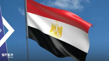 انتبهوا من هذه الألوان.. مصر تصدر تعليمات تتعلق بتصرفات تجذب القروش