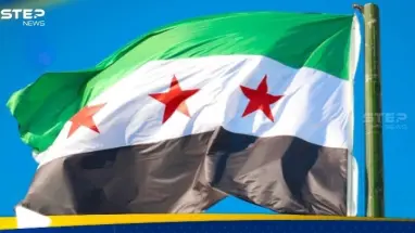 وزيرا ألمانيا والنمسا يلغيان زيارتهما لدمشق فجأة.. ما السبب؟: أحدث الأخبار