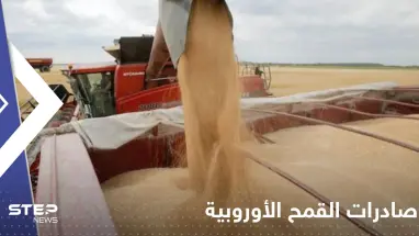 في موسم تظلله الحرب.. صادرات القمح الأوروبية تتحول إلى المغرب