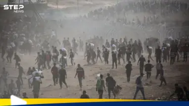 ترامب يحدد أسرع طريق لإنهاء معاناة غزة: أحدث الأخبار