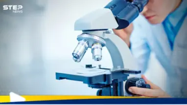 اختراق غير مسبوق في أبحاث مرض السرطان.. دراسة تتوصل لعلاج بديل عن الكيماوي: أحدث الأخبار