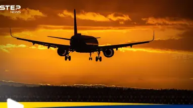 الهند تعلق الرحلات الجوية في 24 مطارا: أحدث الأخبار