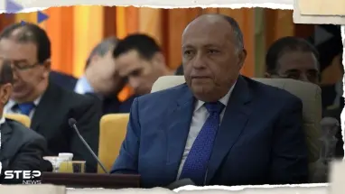 الخارجية المصرية تكشف تفاصيل لقاء شكري وبيدرسون حول الملف السوري