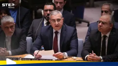 كيف علق مجلس الأمن على التوغل الإسرائيلي في سوريا: أحدث الأخبار