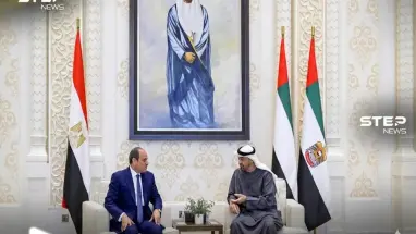صورة تجمع الرئيس المصري عبد الفتاح السيسي والشيخ محمد بن زايد ، خلال لقاء ثنائي