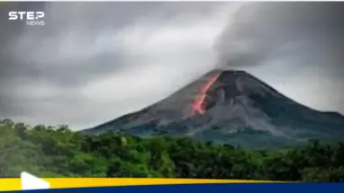 دراسة علمية.. أوراق الشجر تتنبأ بثوران البراكين قبل البشر: أحدث الأخبار