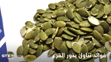 ماذا يحدث لأجسامنا عند تناول بذور القرع.. أبرزها تقليل خطر الإصابة بالعقم