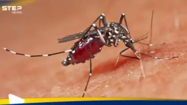 مجددا.. فيروس جديد يطل من الصين ينقله البعوض: أحدث الأخبار