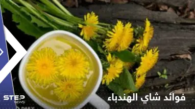 منها مكافحة خلايا سرطان قاتل .. تعرف لفوائد شاي الهندباء