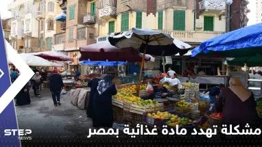 "مشكلة خطيرة" في مصر قد تؤدي لاختفاء البيض.. ومسؤول يحذر