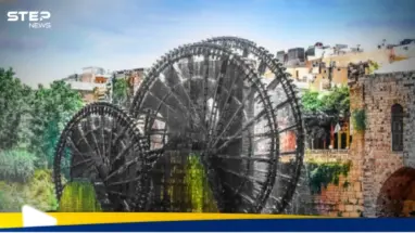 شاب يسكب زيت السيارات على نواعير حماة ويثير الغضب.. ما القصة: أحدث الأخبار