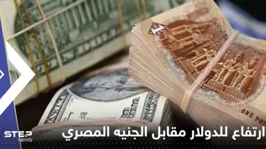 ارتفاع جديد للدولار مقابل الجنيه المصري.. ونشاط مكثف للسوق السوداء
