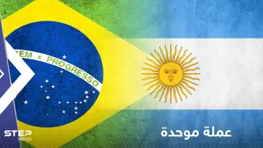 دولتان في أمريكا الجنوبية تعملان لإصدار "عملة موحدة"