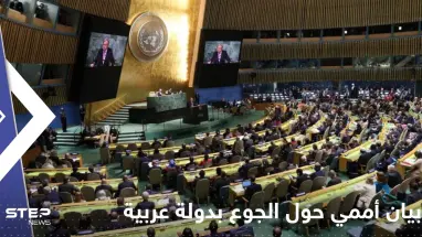 الأمم المتحدة تحذر.. 70 بالمئة من السوريين "مهددون" بفقدان طعامهم