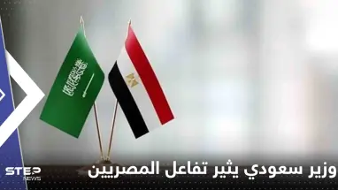 شاهد|| وزير سعودي يثير تفاعلاً بحديثه عن الجيش المصري وضباطه