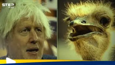 شاهد|| نعامة أمريكية تعض بوريس جونسون نقراً بمنقارها.. ومفاجأة برد فعل زوجته وولده: أحدث الأخبار