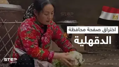 اختراق الصفحة الرسمية لـ محافظة الدقهلية.. ونشر فيديو غريب بداخلها يثير سخرية المصريين