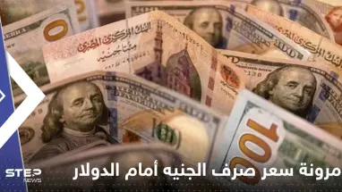 مصر تكشف سر مرونة سعر صرف الجنيه أمام الدولار