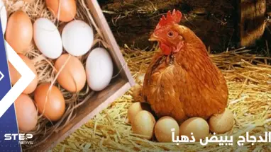 أسعار البيض في العالم ترتفع بشكل تاريخي ودول تدق ناقوس "الخطر"