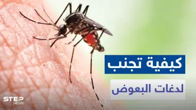 لتجنب لدغات البعوض مع دخول فصل الصيف.. تناول هذه الأعشاب والتوابل