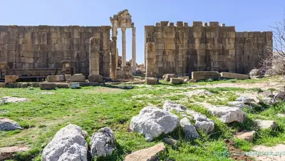 لبنان - عدسة الجمهور - وكالة ستيب نيوز