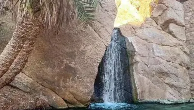 تونس - عدسة الجمهور - وكالة ستيب نيوز