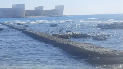 تركيا - عدسة الجمهور - وكالة ستيب نيوز