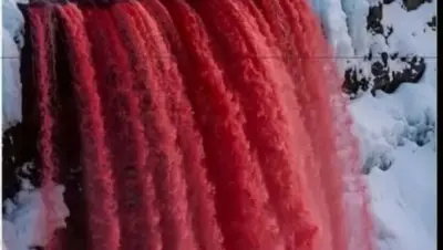 القارة القطبية الجنوبية