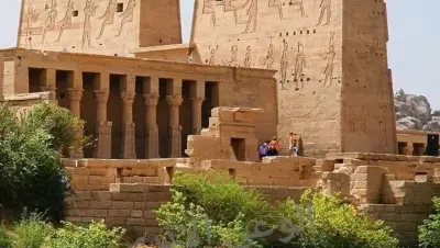 مصر - عدسة الجمهور - وكالة ستيب نيوز