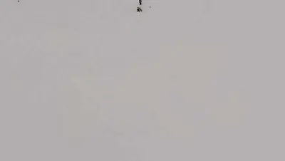 السويداء - عدسة الجمهور - وكالة ستيب نيوز