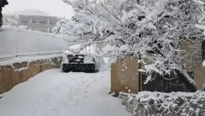 سوريا بلودان - عدسة الجمهور - وكالة ستيب نيوز