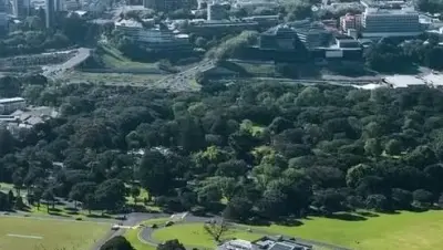 نيوزيلندا - عدسة الجمهور - وكالة ستيب نيوز