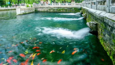 الصين - عدسة الجمهور - وكالة ستيب نيوز