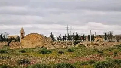 تونس - عدسة الجمهور - وكالة ستيب نيوز