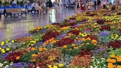 روسيا - عدسة الجمهور - وكالة ستيب نيوز